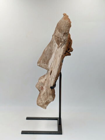 élément de cercueil, image 5/6