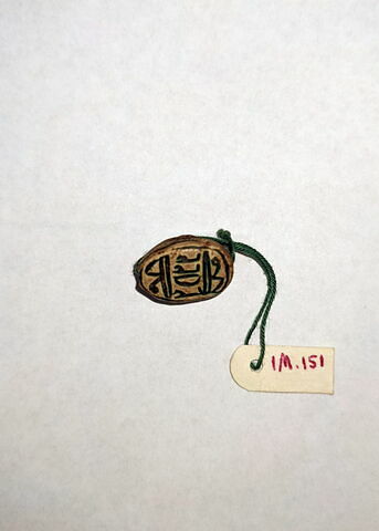 scarabée, image 2/2