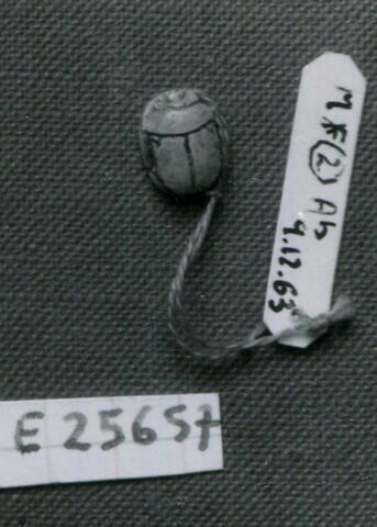 scarabée, image 3/3