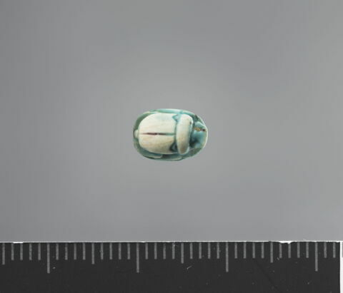 scarabée, image 2/2