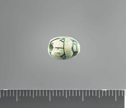 scarabée, image 2/2