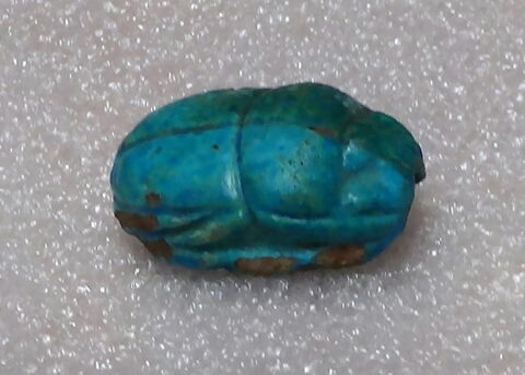 scarabée, image 3/3