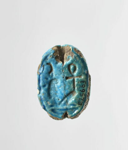 scarabée, image 1/3