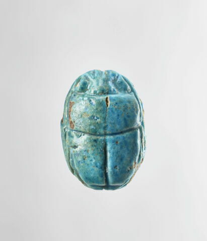 scarabée, image 2/3