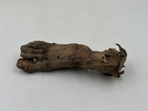 squelette, image 6/13