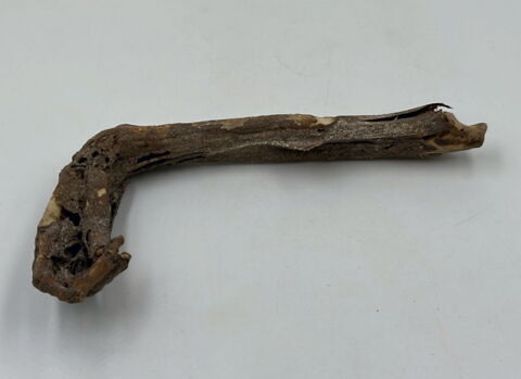 squelette, image 9/13