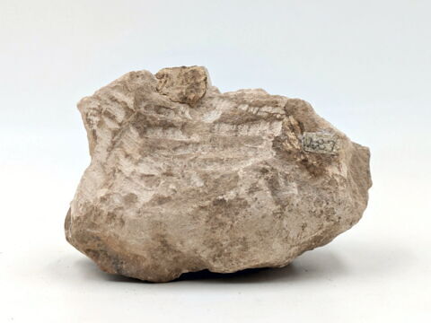 statue de groupe, image 3/6