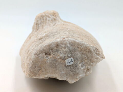 mortier à oreilles, image 2/4