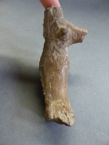 figurine ; fragment, image 1/1