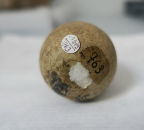 alabastre, image 3/4