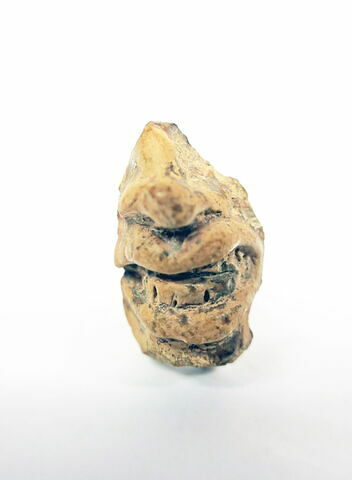 figurine ; fragment, image 1/1