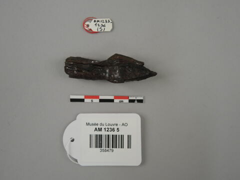 arme ; fragment, image 1/1