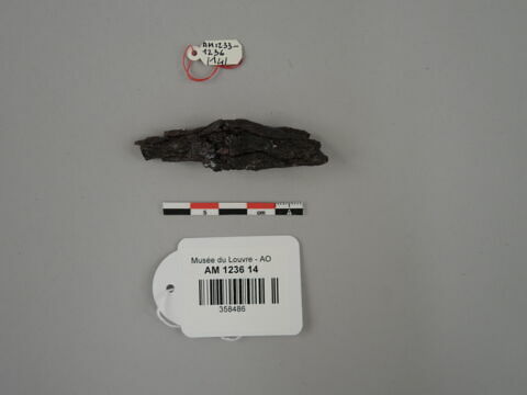 arme ; fragment, image 1/1