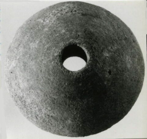 fusaïole, image 3/3