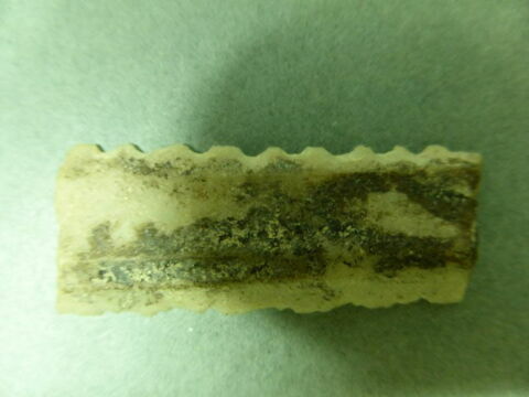 lame  ; scie, image 1/1