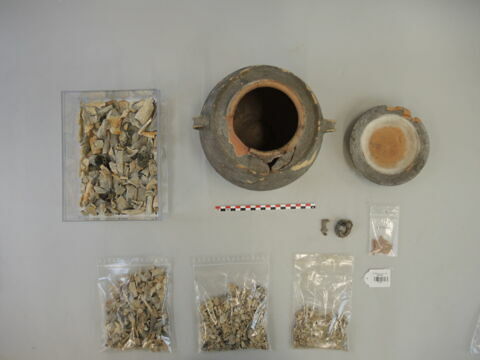 vase ; couvercle ; os ; fibule, image 4/5