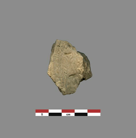 bulle ; fragment