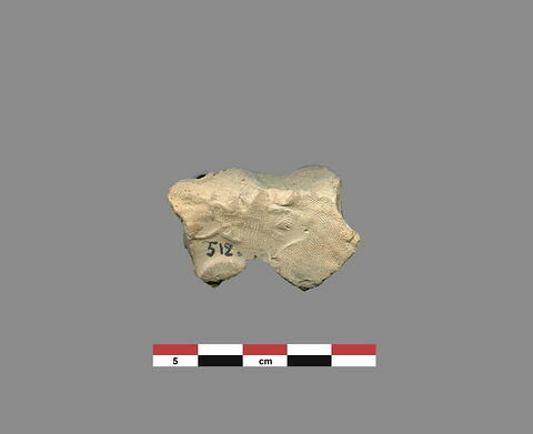 bulle ; fragment, image 1/1