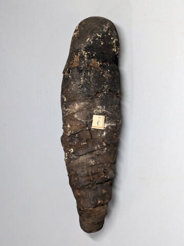 élément momifié  ; pseudo-momie, image 2/3