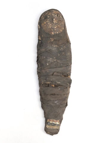 élément momifié  ; pseudo-momie, image 1/3