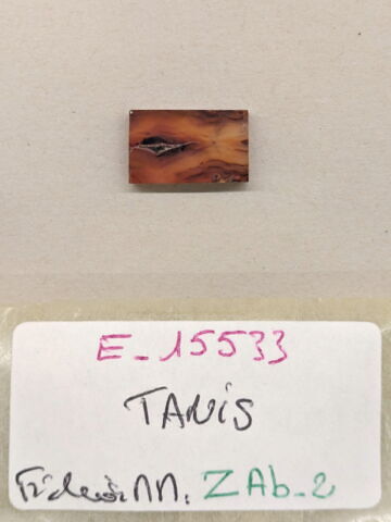 plaquette de dépôt de fondation, image 1/2