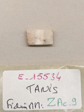 plaquette de dépôt de fondation, image 1/2