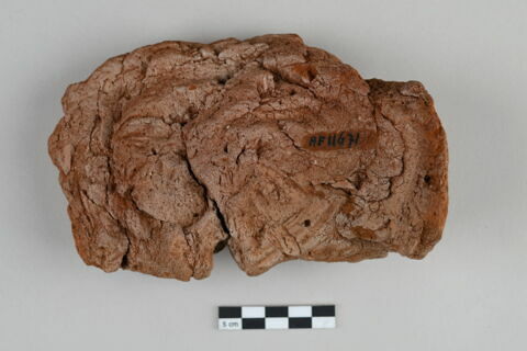 bouchon de jarre en calotte ; empreinte de sceau, image 3/4