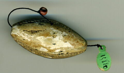 perle cauroïde, image 2/2