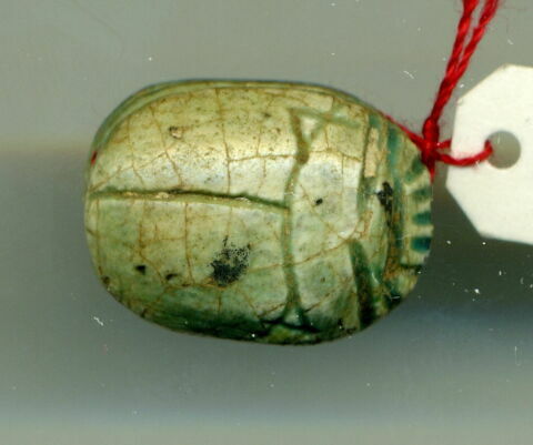 scarabée détaillé, image 2/2