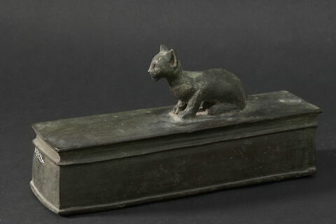 sarcophage de chat
