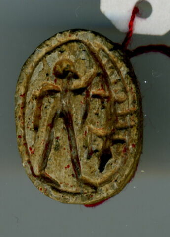 scarabée détaillé, image 1/2