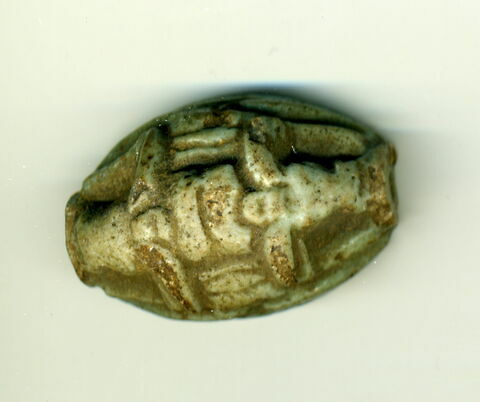 scaraboïde ; scarabée, image 2/3