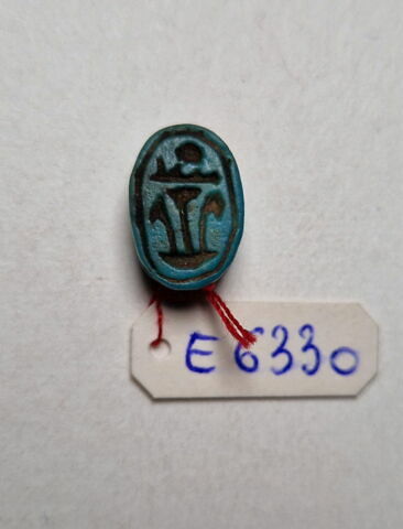 scarabée détaillé, image 3/5
