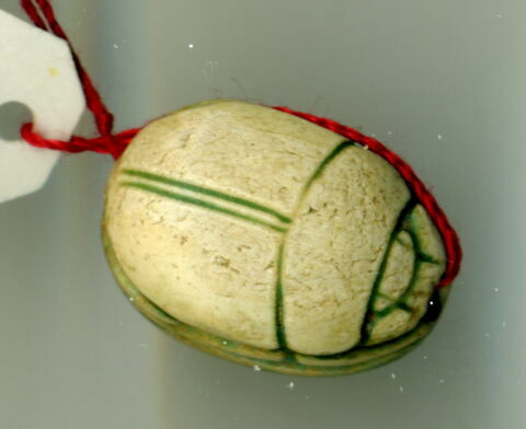 scarabée détaillé, image 4/4