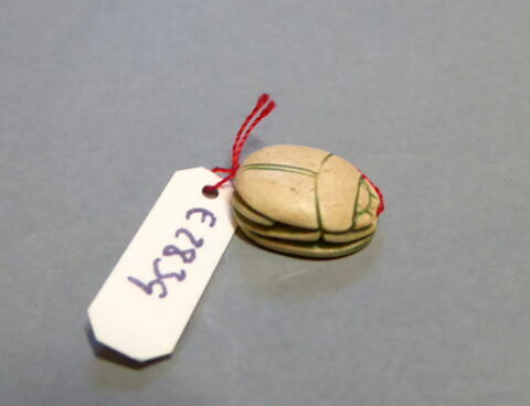 scarabée détaillé, image 2/4