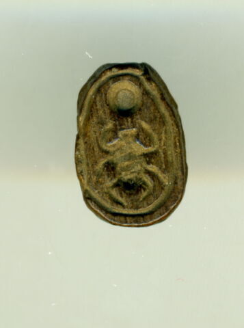 scarabée détaillé, image 2/3