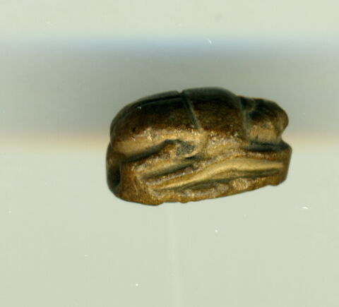 scarabée détaillé, image 3/3