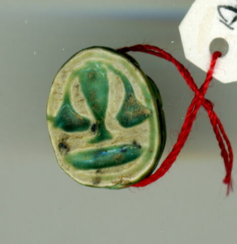 scarabée détaillé, image 1/1