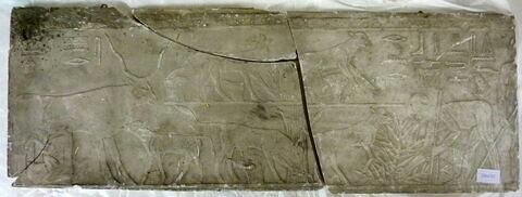 moulage ; relief ; Moulage d'une scène du mastaba de Ty