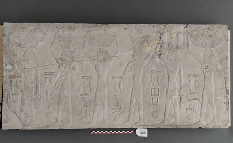 moulage ; relief ; Moulage d'une scène de défilé de porteuses d'offrandes du mastaba de Ti