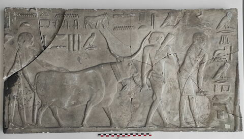 Moulage d'une scène du mastaba de Ptahhotep
