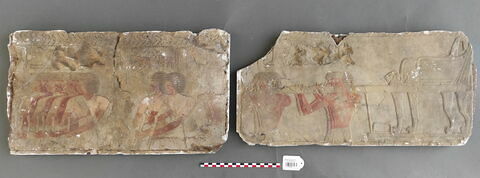 moulage ; relief ; Moulages d'un relief du temple d'Hatchepsout à Deir el-Bahari