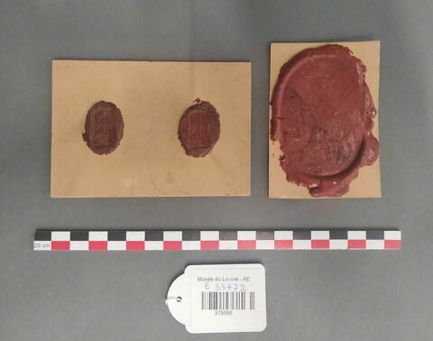 empreinte d'un scarabée et de deux chatons de bague