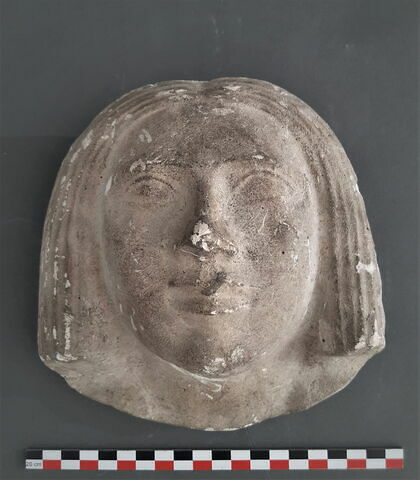 moulage de la tête de la statue de Ankh, Musée de Leyde D 93 = AST 18, image 1/1