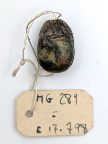 scarabée, image 2/2