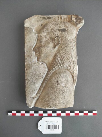 moulage ; relief mural ; Moulage d'un relief de reine ptolémaïque