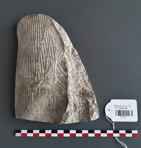 moulage d'un détail de la statue Louvre E 11609, image 1/1