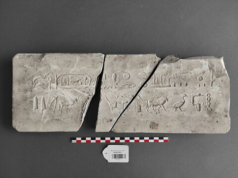 Moulage de l'inscription du sarcophage de l'Apis de Khababach