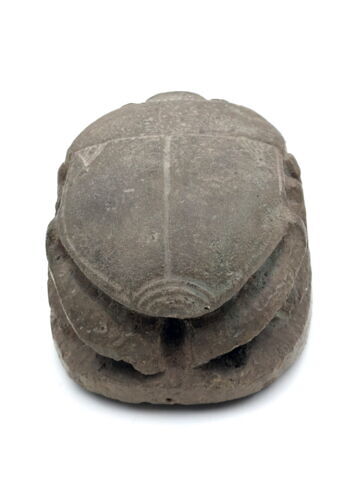 scarabée détaillé, image 2/5
