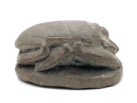 scarabée détaillé, image 3/5